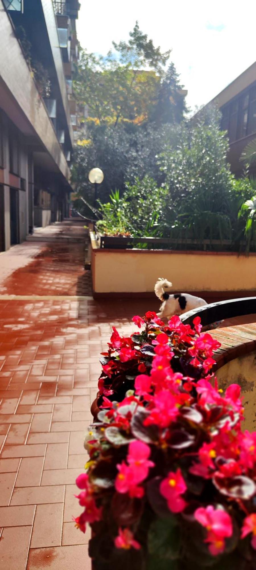 Gemme Fiorentine Apartments In Front Of The Train Station 5 Minutes From The Centre Free Parking Florenz Exterior foto